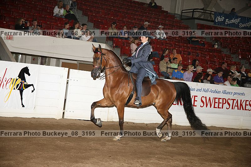 Proof buckeye_08_3195