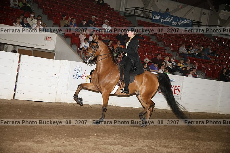 Proof buckeye_08_3207