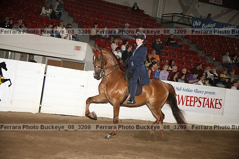 Proof buckeye_08_3209