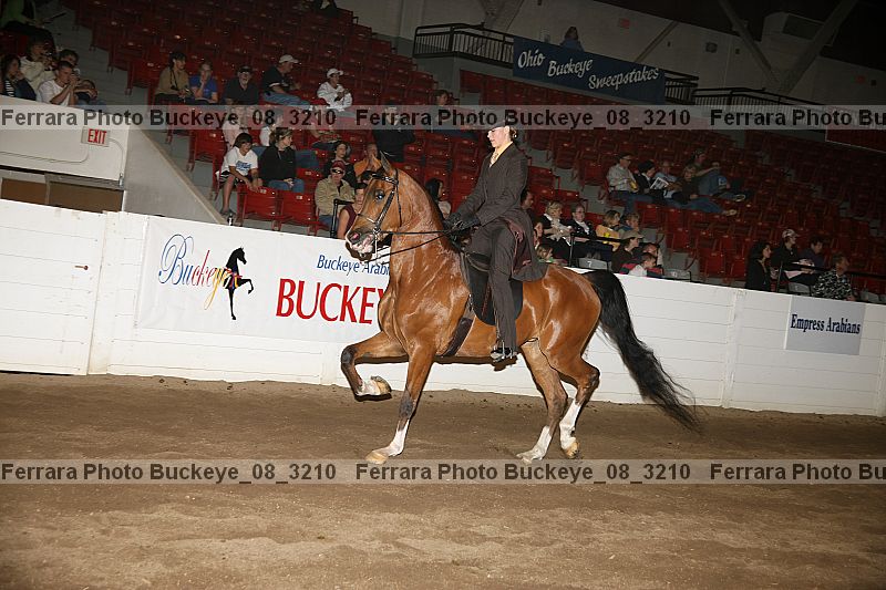 Proof buckeye_08_3210