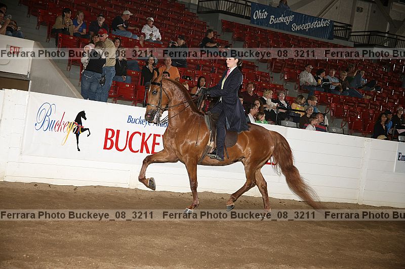 Proof buckeye_08_3211