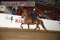 buckeye_08_3211 proof