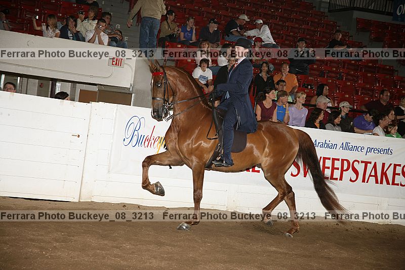 Proof buckeye_08_3213