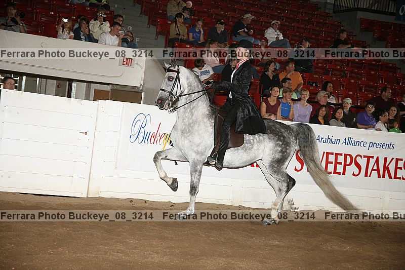 Proof buckeye_08_3214