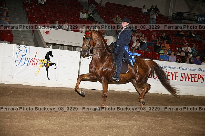 Proof buckeye_08_3229