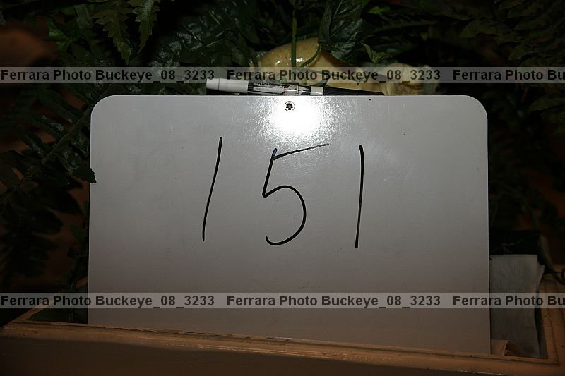 Proof buckeye_08_3233