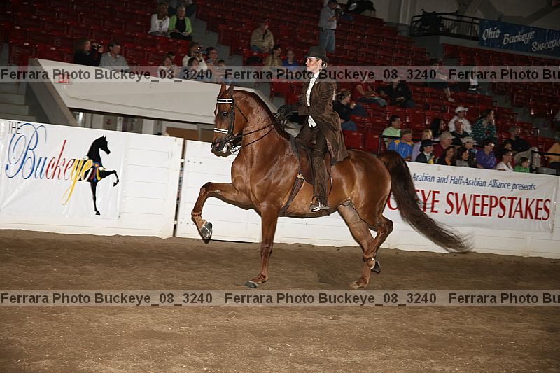 Proof buckeye_08_3240