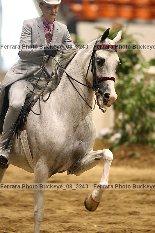 Proof buckeye_08_3243