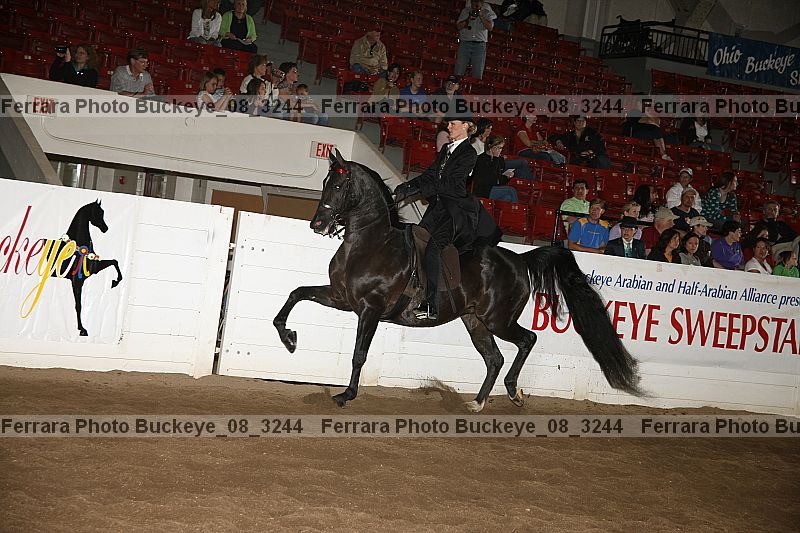 Proof buckeye_08_3244