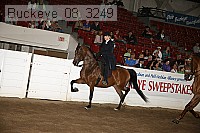 buckeye_08_3249 proof