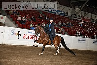 buckeye_08_3250 proof