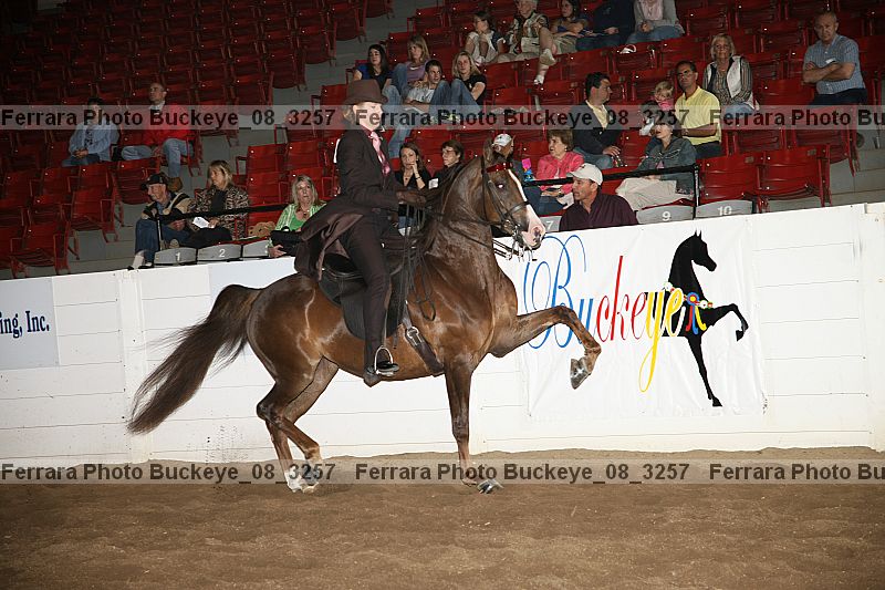 Proof buckeye_08_3257