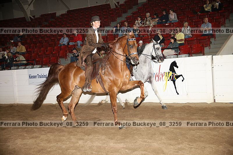 Proof buckeye_08_3259