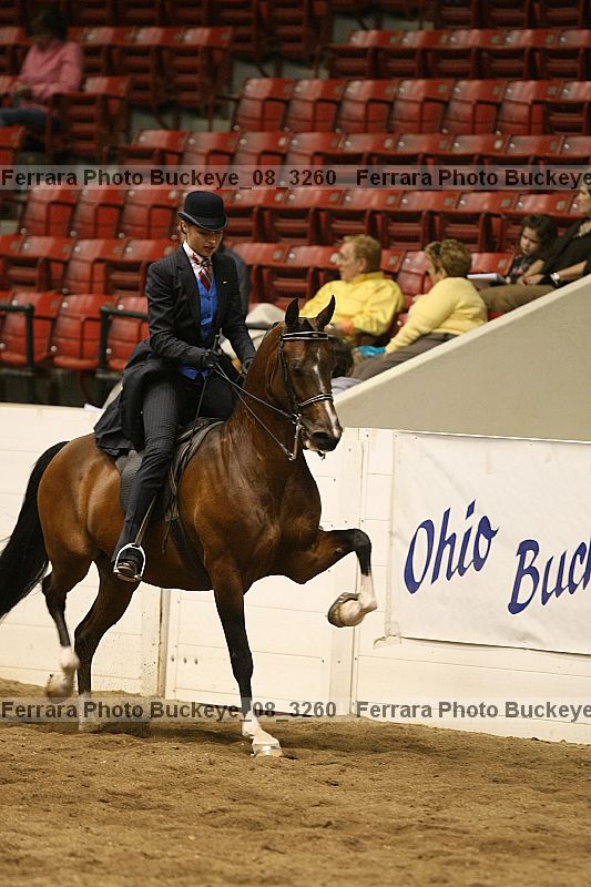 Proof buckeye_08_3260