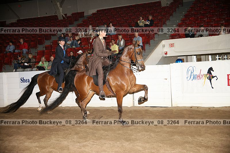 Proof buckeye_08_3264