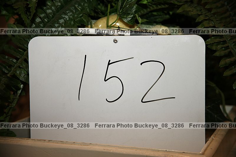 Proof buckeye_08_3286