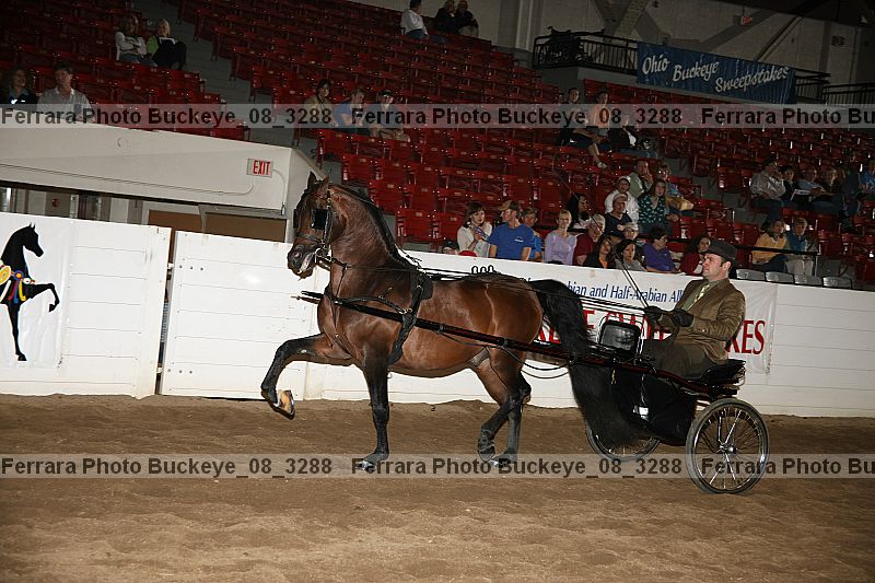 Proof buckeye_08_3288