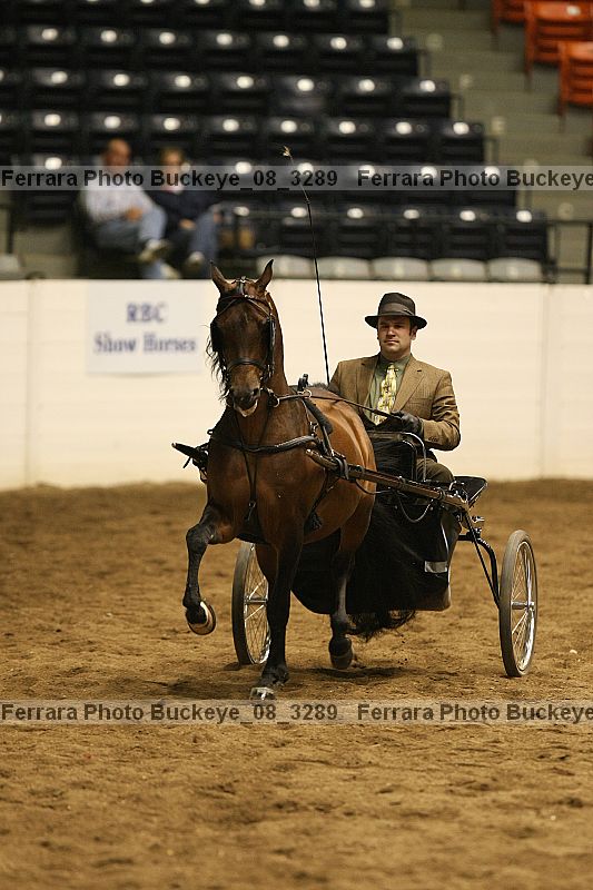 Proof buckeye_08_3289