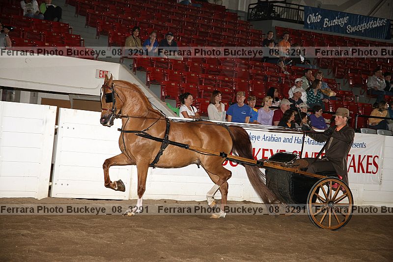 Proof buckeye_08_3291