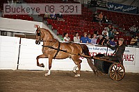buckeye_08_3291 proof