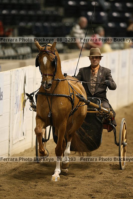 Proof buckeye_08_3293