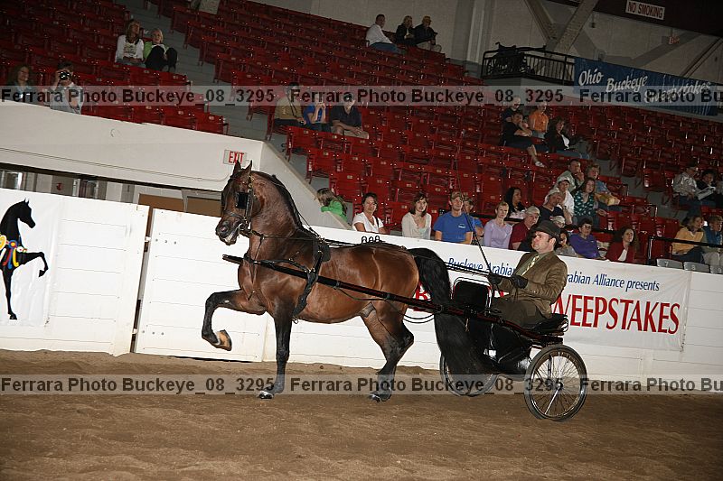 Proof buckeye_08_3295