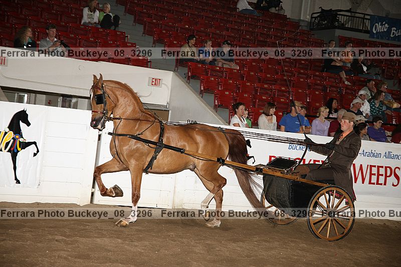 Proof buckeye_08_3296