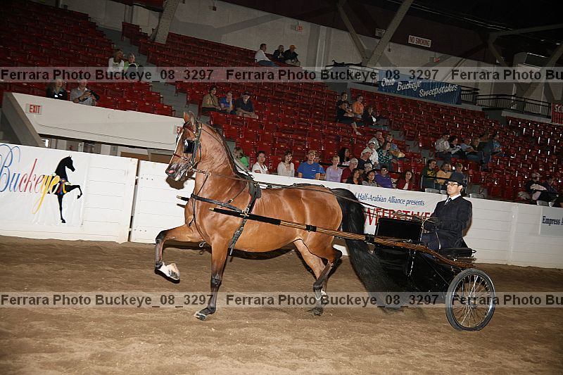 Proof buckeye_08_3297