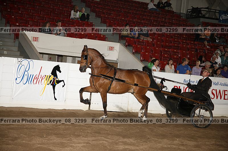 Proof buckeye_08_3299