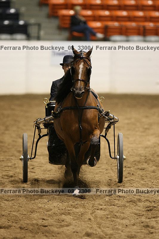 Proof buckeye_08_3300