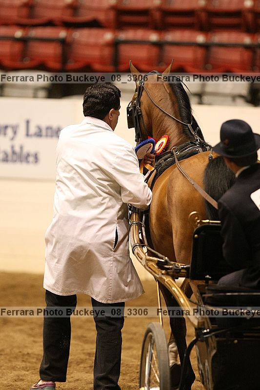 Proof buckeye_08_3306