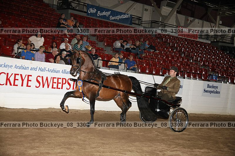 Proof buckeye_08_3308