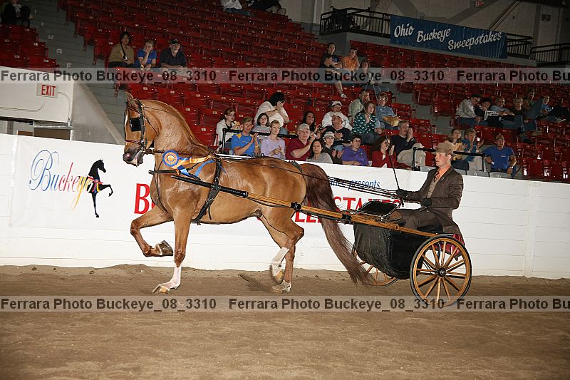 Proof buckeye_08_3310