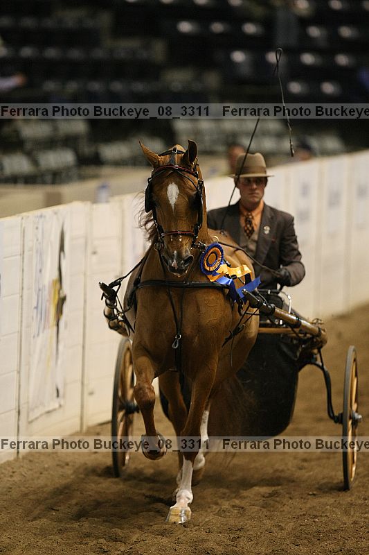 Proof buckeye_08_3311