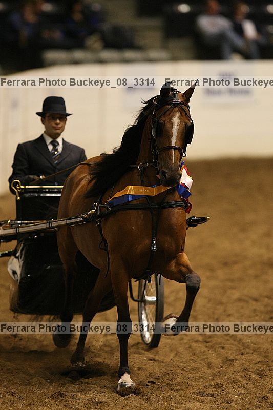Proof buckeye_08_3314