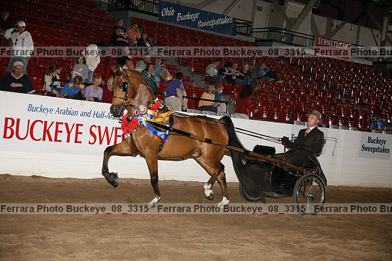 Proof buckeye_08_3315