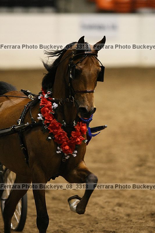 Proof buckeye_08_3318