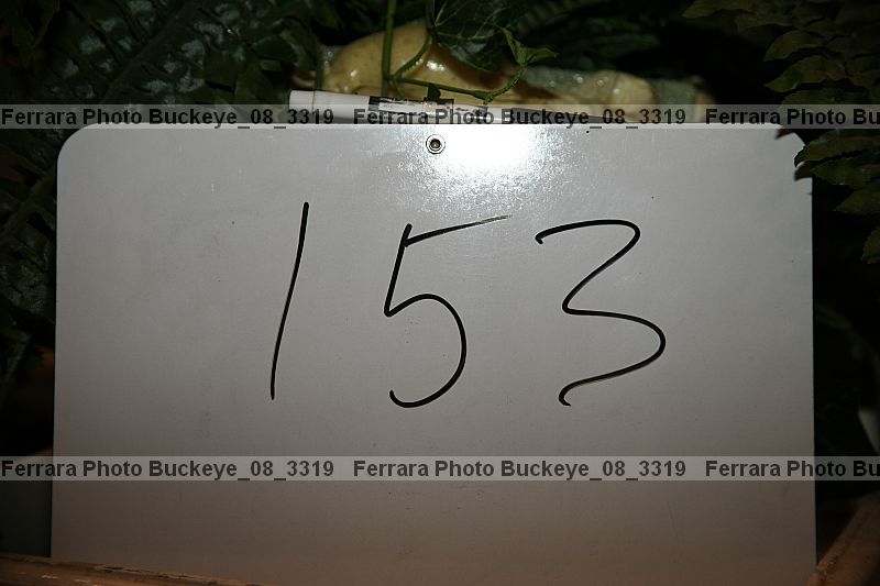 Proof buckeye_08_3319