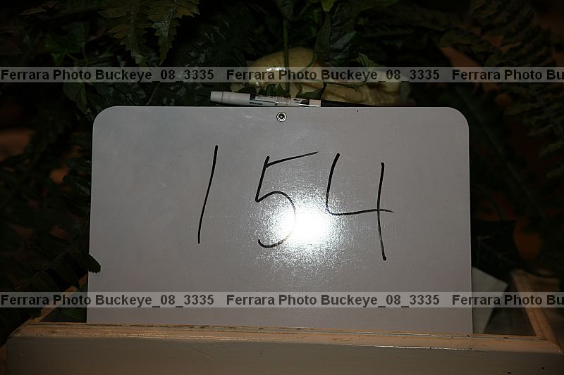 Proof buckeye_08_3335