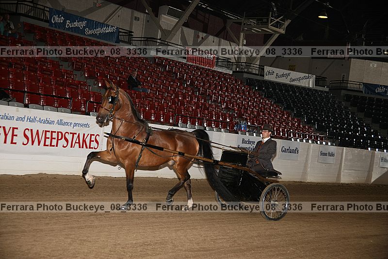 Proof buckeye_08_3336
