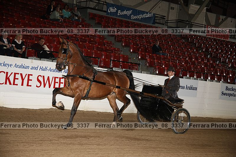 Proof buckeye_08_3337