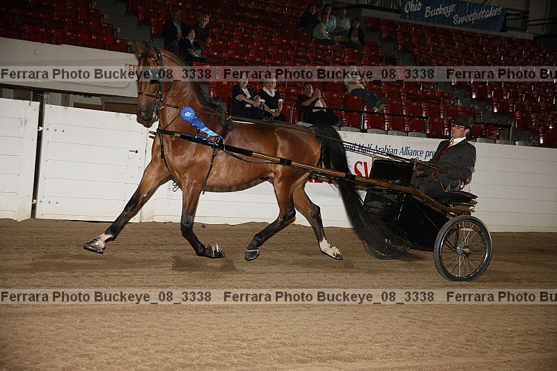 Proof buckeye_08_3338