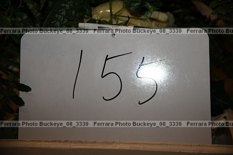 Proof buckeye_08_3339