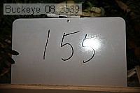 buckeye_08_3339 proof
