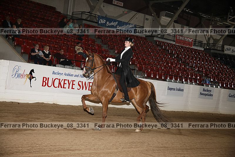 Proof buckeye_08_3341