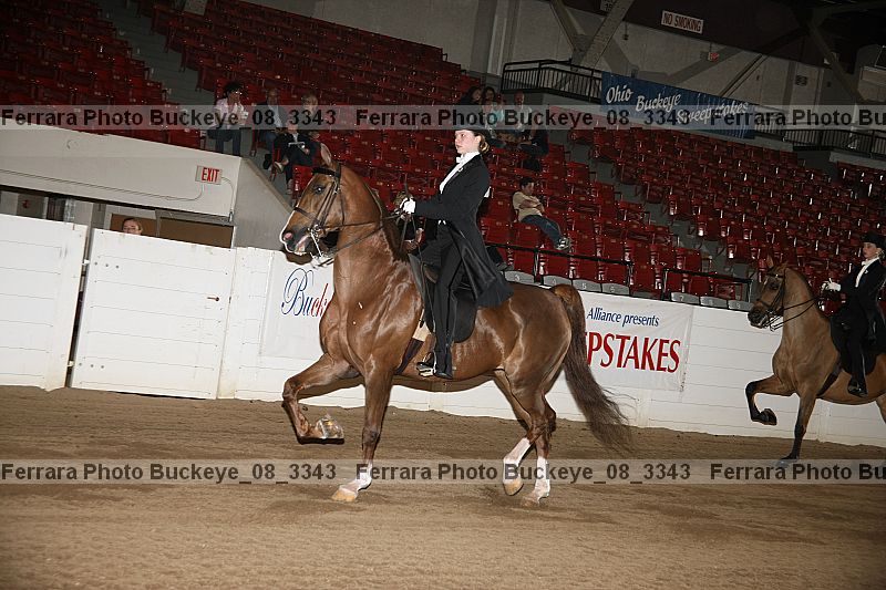 Proof buckeye_08_3343