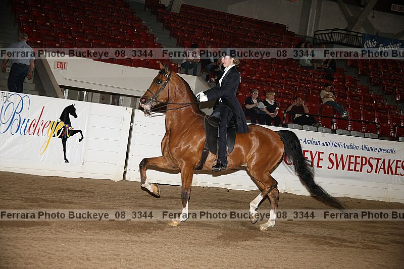 Proof buckeye_08_3344