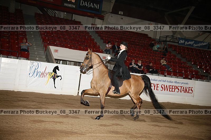 Proof buckeye_08_3347