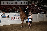 buckeye_08_3349 proof