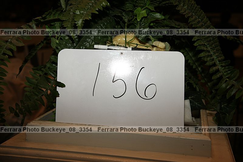 Proof buckeye_08_3354